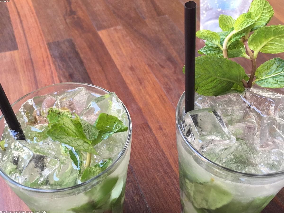 Virgin Mojito